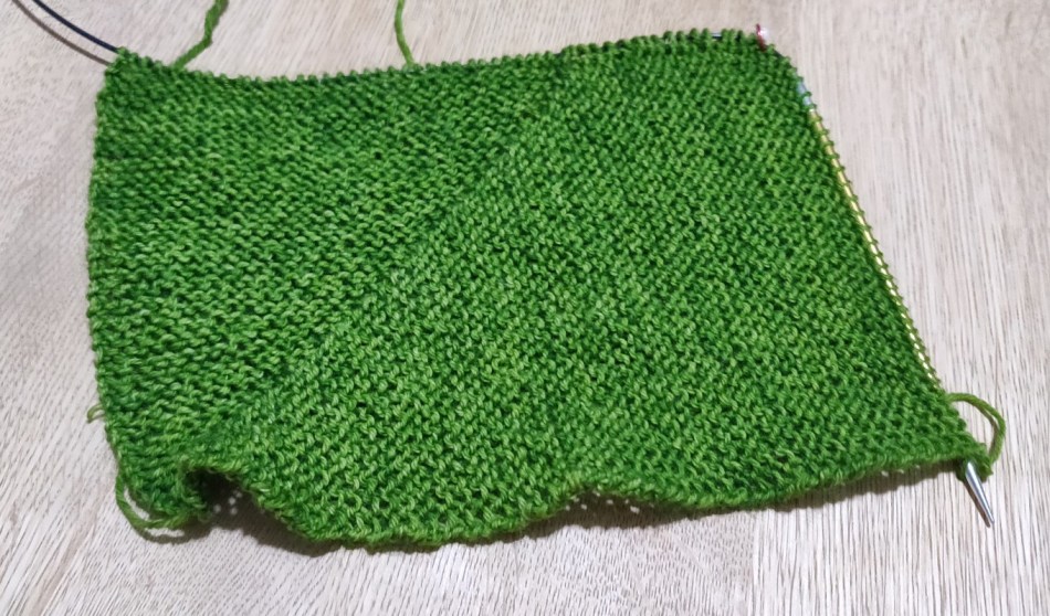 IMG_20190204_191608 (1)